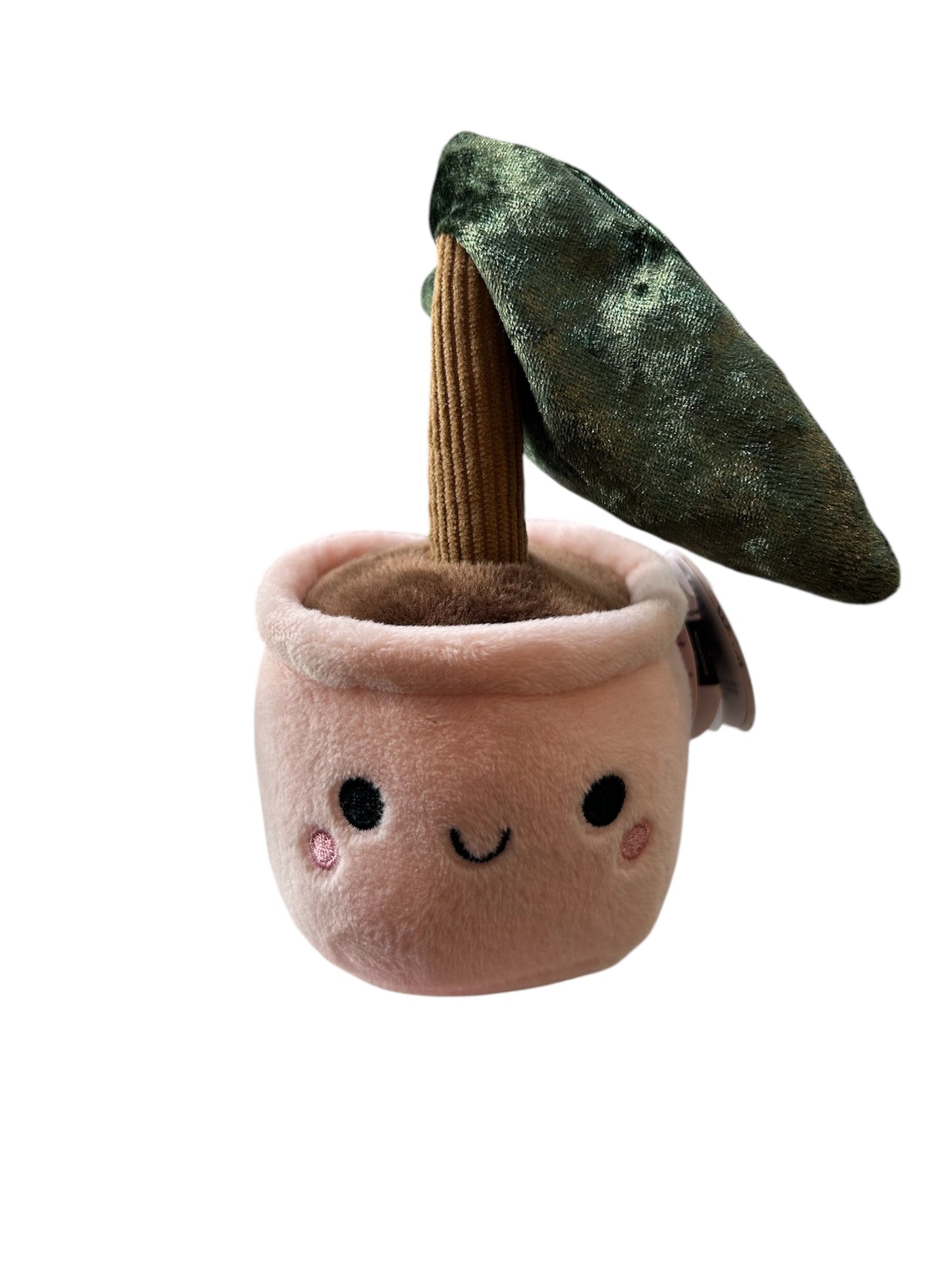 Peluche plante