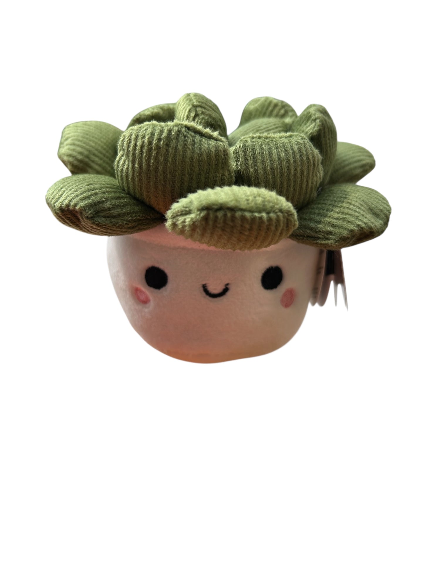 Peluche plante