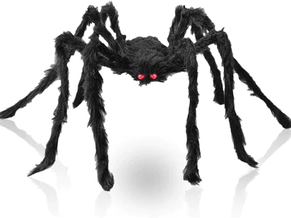 Araignée géante