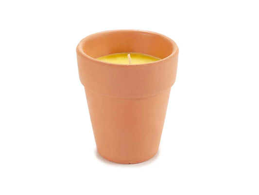 Bougie citronelle