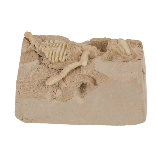 Kit de fouille Dinosaure