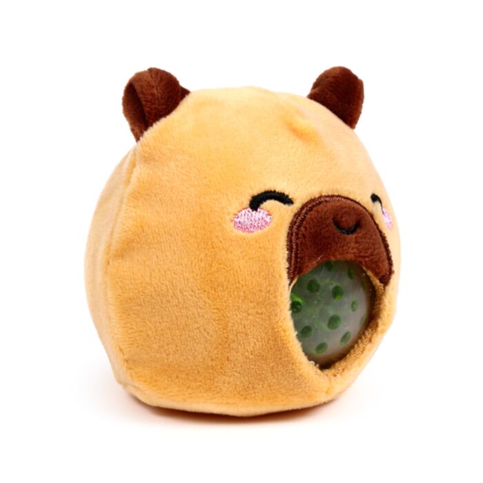 Squichy Capybara
