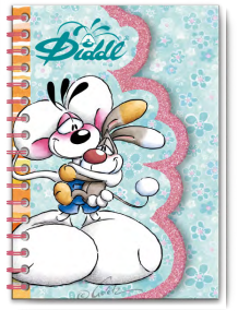 Carnet forme Summer Diddl