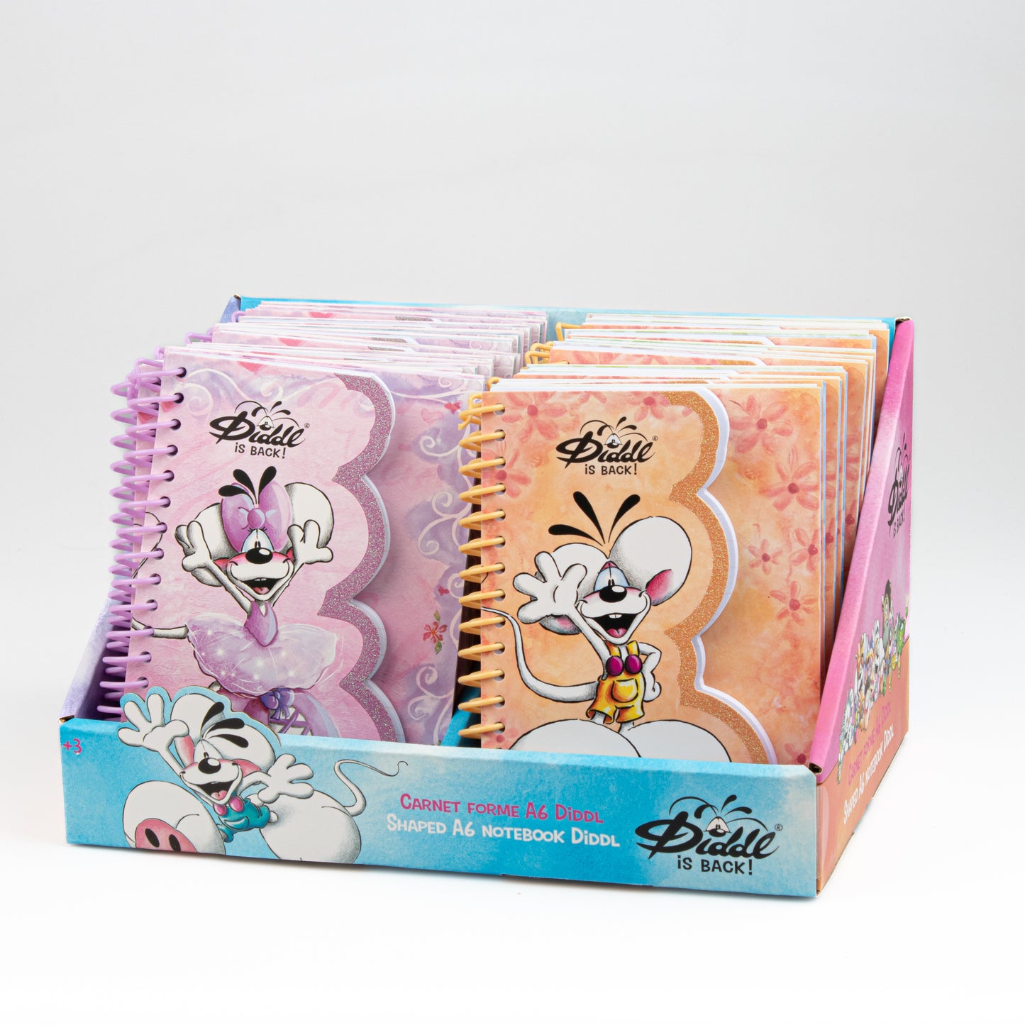 Carnet forme A6 Diddl