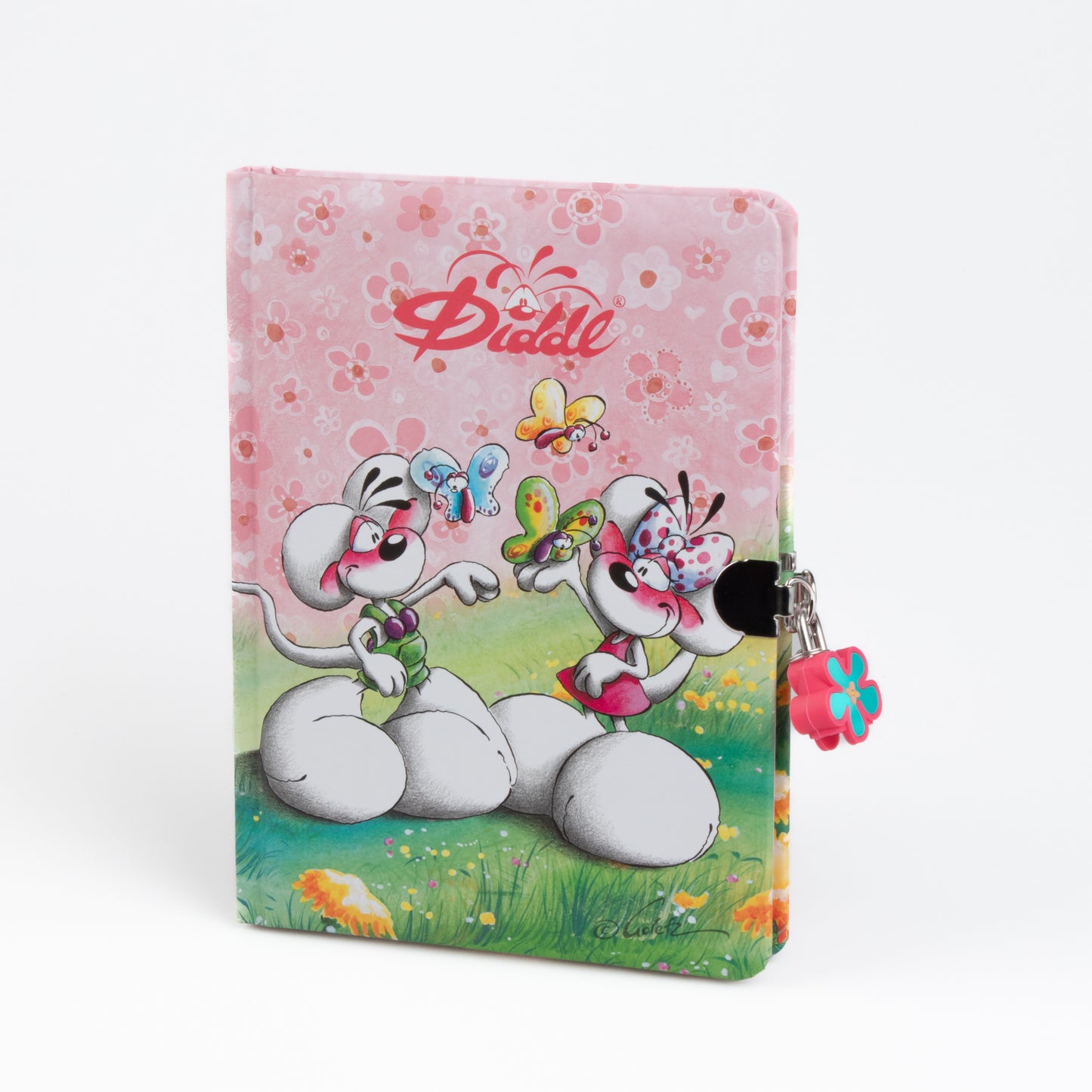 Carnet secret