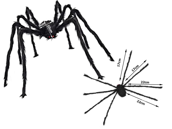 Araignée géante
