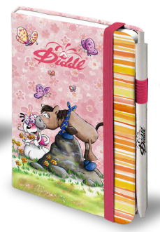 Carnet A 6 avec stylo