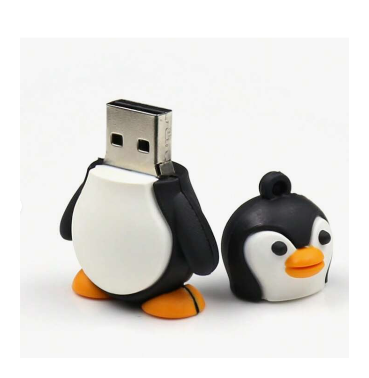 Clés USB 64 GO