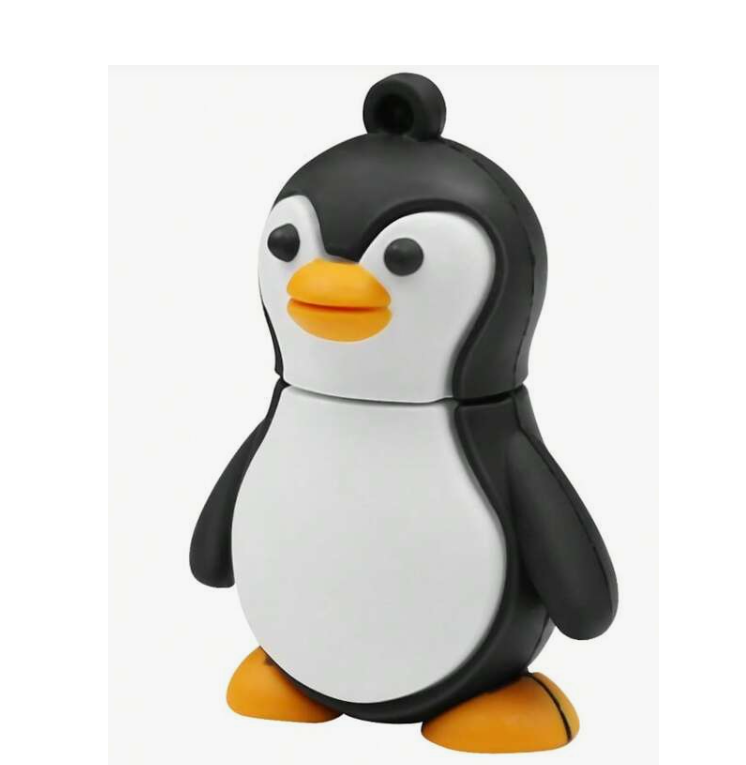 Clés USB 64 GO