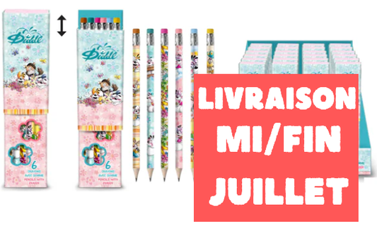 Boite de 6 crayons à papier avec gomme