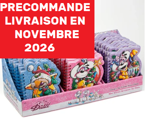 Carnet A6 forme hiver -précommande