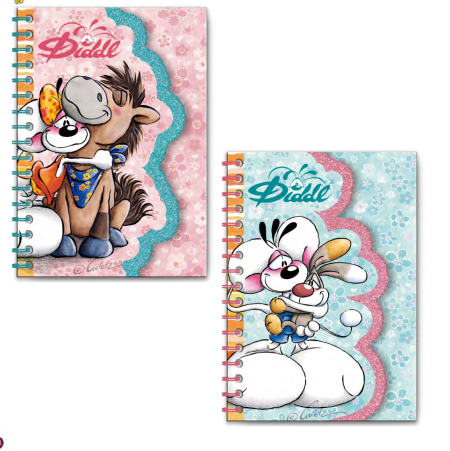 Carnet forme Summer Diddl