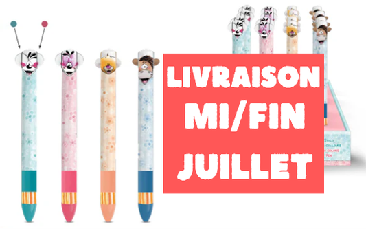Stylo 2 couleurs